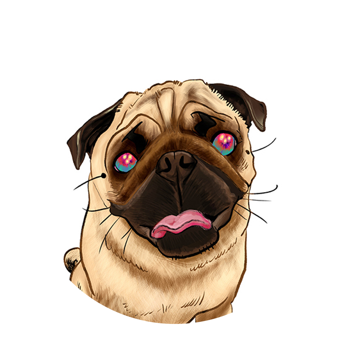 top5_01 icon