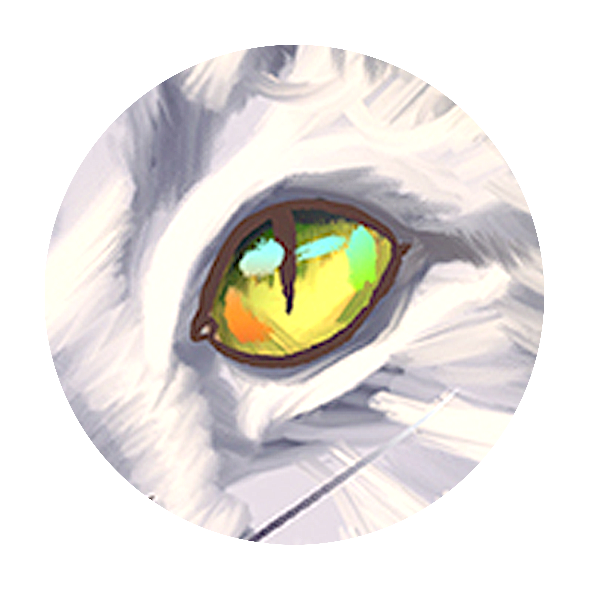 top5_02 icon